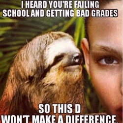 Funny Sloth Memes 10
