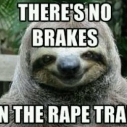 Funny Sloth Memes 17