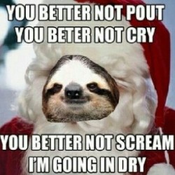 Funny Sloth Memes 18
