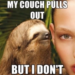 Funny Sloth Memes 19