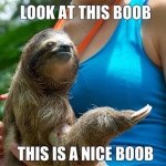 Funny Sloth Memes 20