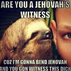 Funny Sloth Memes 6
