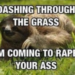 Funny Sloth Memes 9