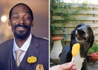 Image Snoop-Dogg-adn-this-dog.jpg