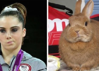 Image Olympian-McKayla-Maroney-and-this-unimpressed-bunny.jpg