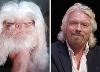 Image Richard-Branson-and-this-dog.jpg