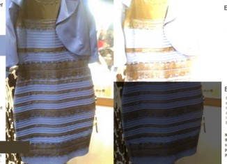 Funny White and Gold Dress Pictures 18