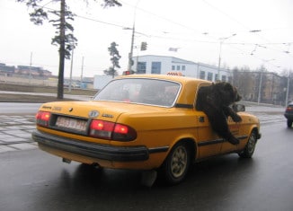 Meanwhile in Russia 10