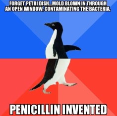 Socially Awkward Penguin 5