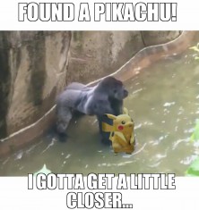 Pikachu Animal
