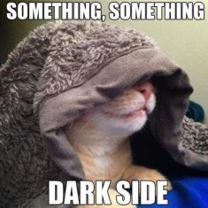 Dark Side Memes