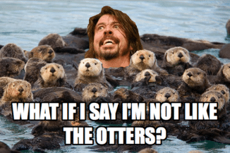 Dave Grohl Memes